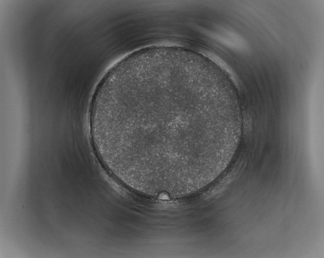 X0000111140935200908111111