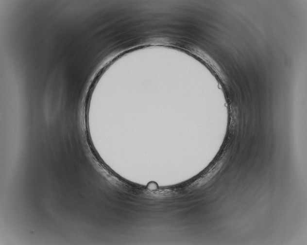 X0000111140939200908111111