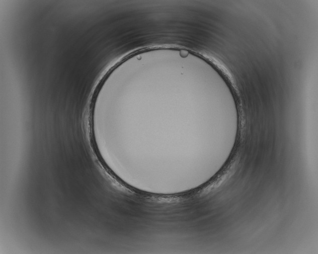 X0000111140941200908111111