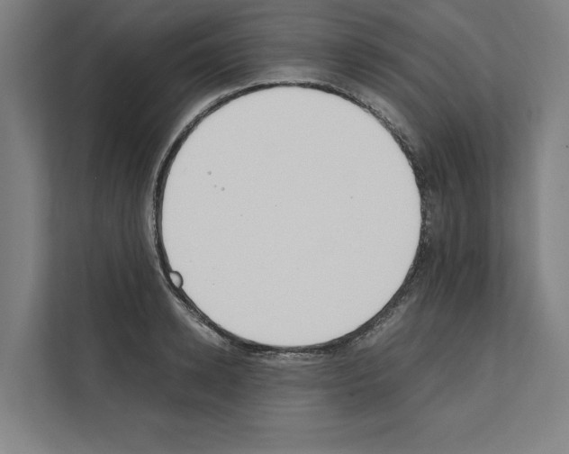 X0000111140942200908111111