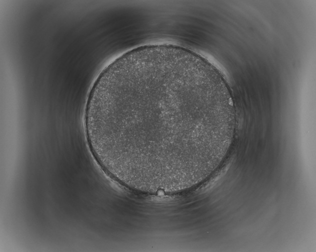 X0000111140943200908111111