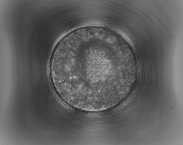 X0000111140944200908111111