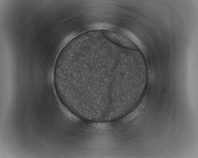 X0000111140946200908111111