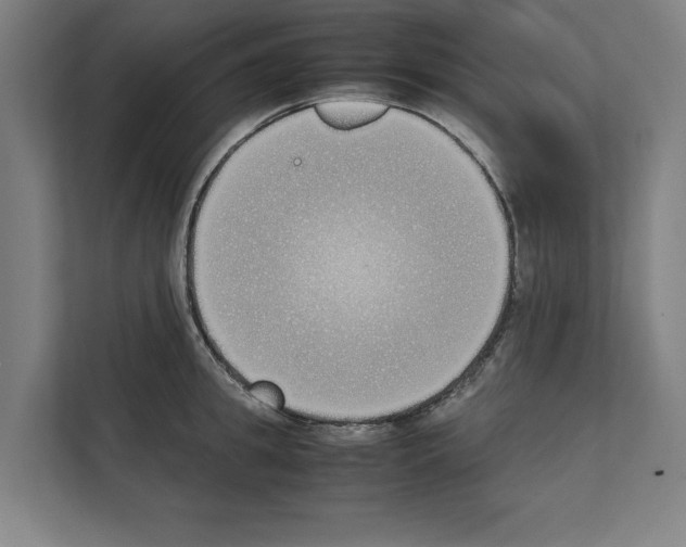 X0000111140949200908111111