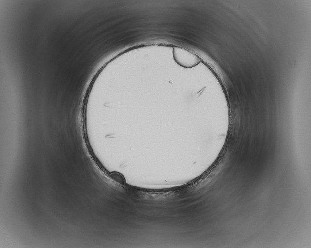 X0000111140951200908111111