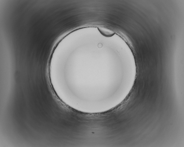 X0000111140952200908111111