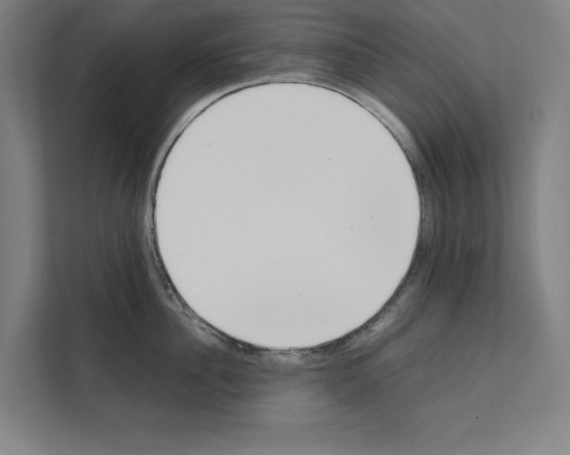 X0000111140956200908111111