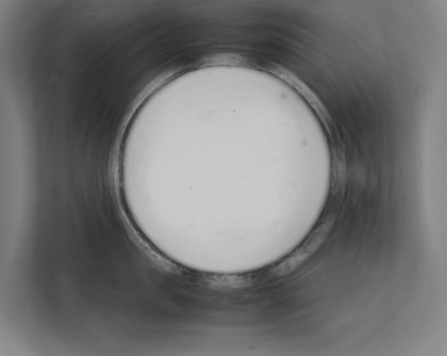 X0000111140957200908111111