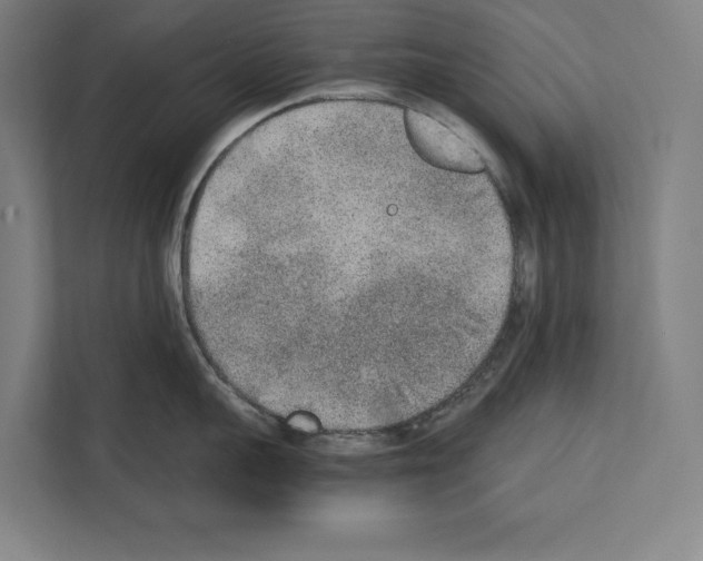 X0000111140959200908111111