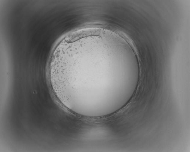 X0000111140960200908111111