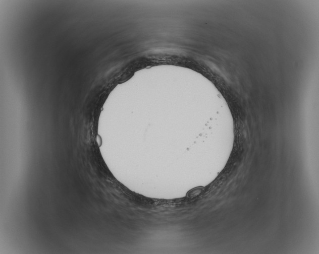 X0000111140965200908111110