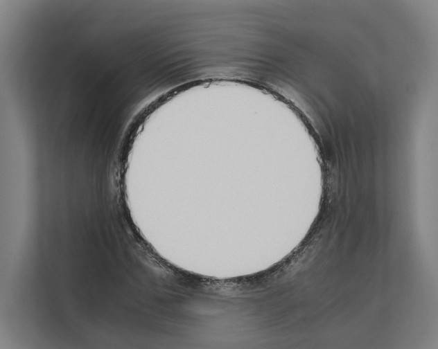 X0000111140971200908111110