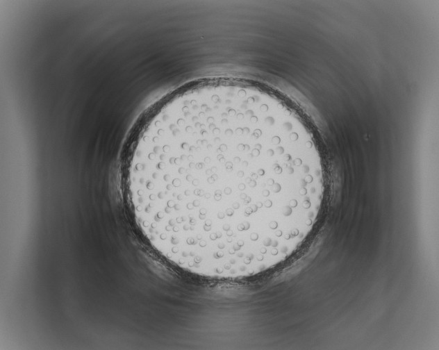 X0000111140974200908111110