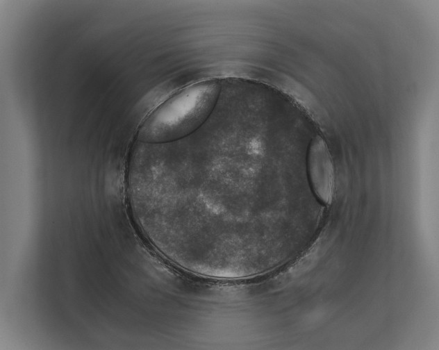 X0000111140977200908111110