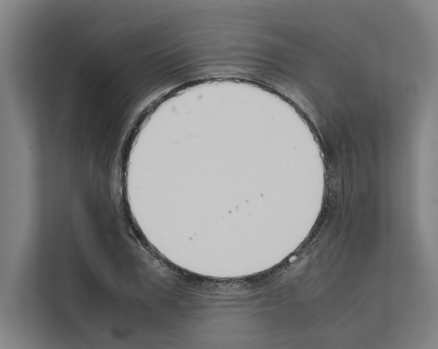 X0000111140979200908111110