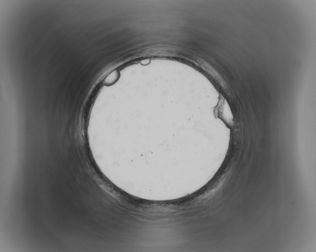 X0000111140981200908111110