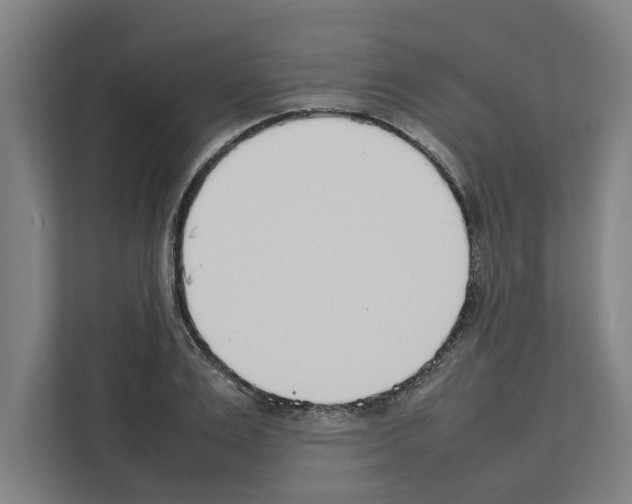 X0000111140983200908111110