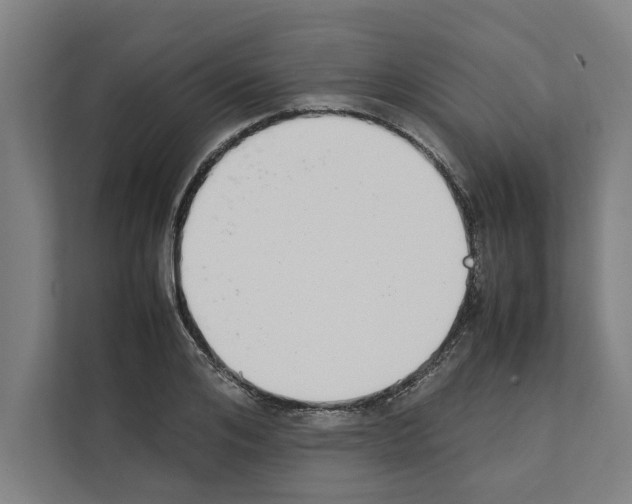 X0000111140984200908111110