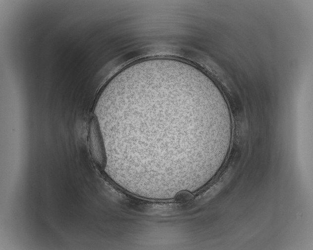 X0000111140985200908111110