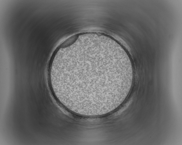 X0000111140989200908111110