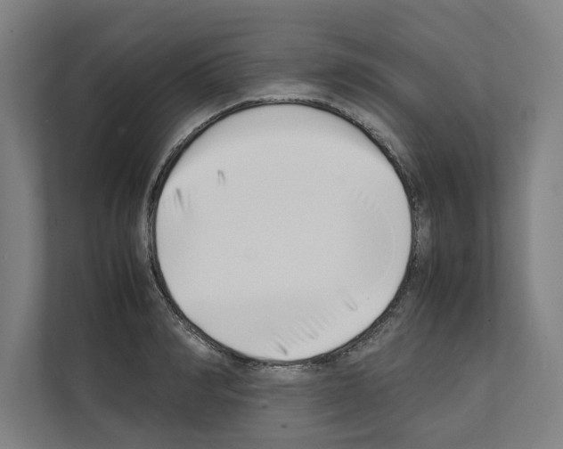 X0000111140990200908111110