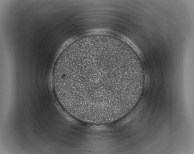 X0000111140994200908111110