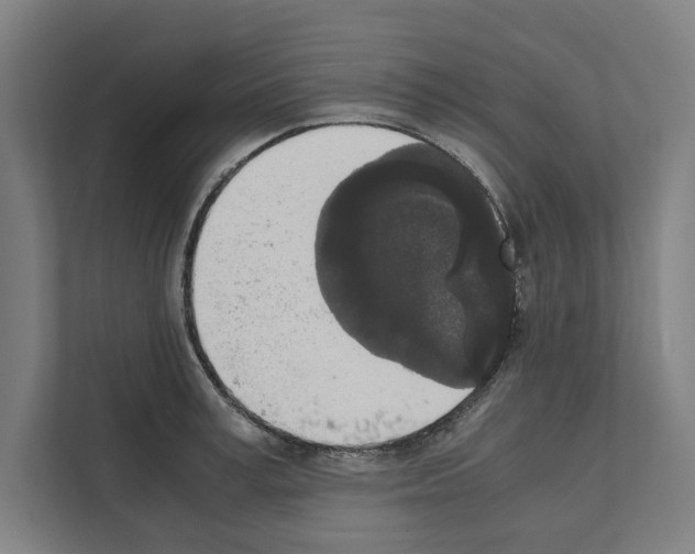 X0000111140995200908111110