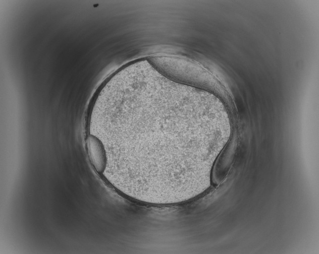 X0000111140997200908111110