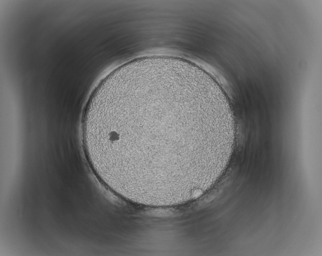 X0000111140998200908111110