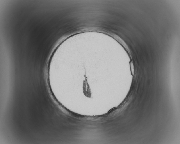 X0000111141005200908111110