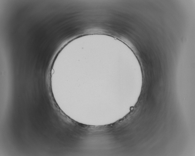 X0000111141008200908111110