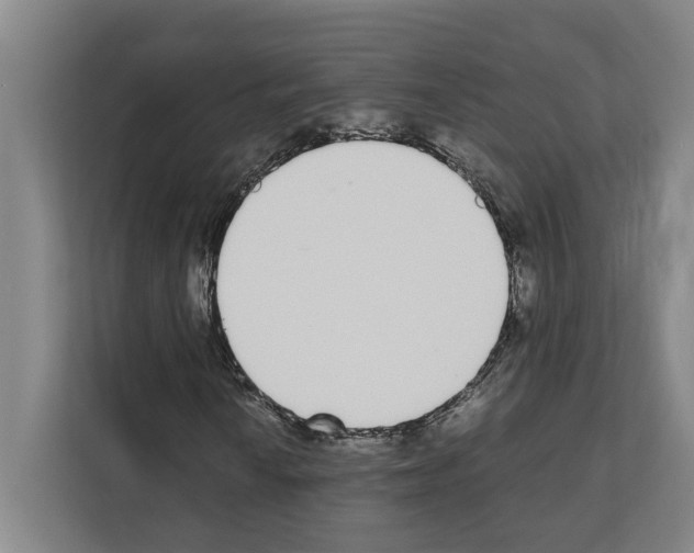 X0000111141010200908111109