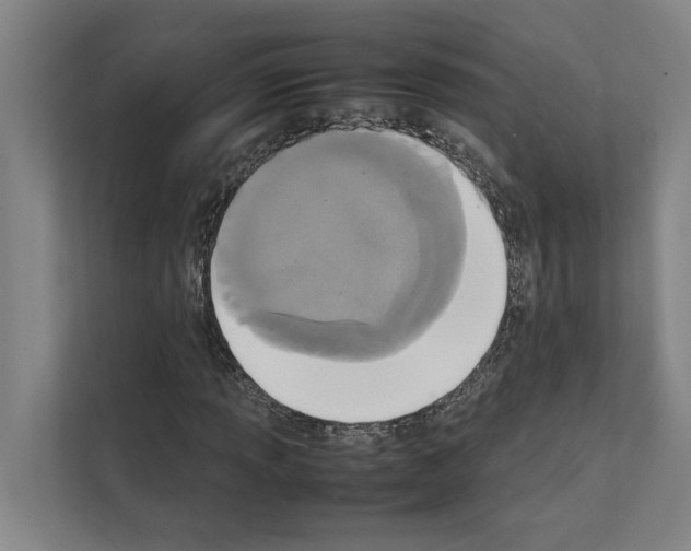 X0000111141013200908111109