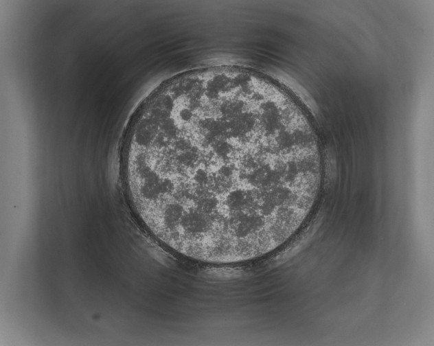 X0000111141023200908111109