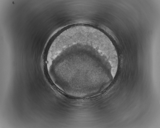 X0000111141024200908111109