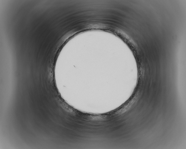 X0000111141025200908111110