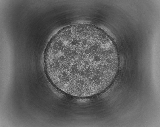 X0000111141031200908111110