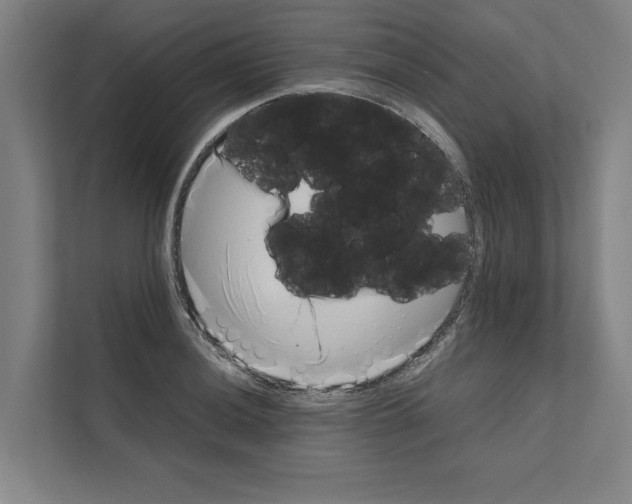 X0000111141036200908111110