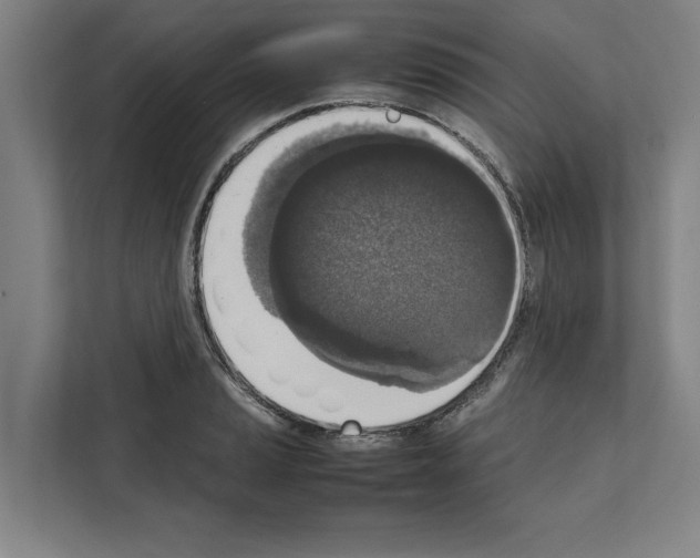 X0000111141037200908111110