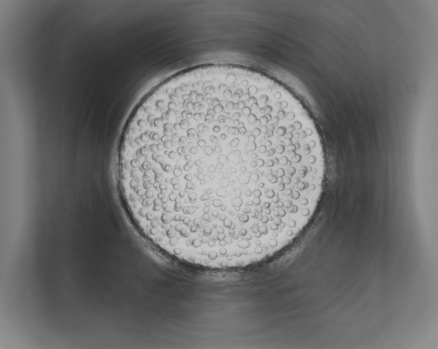 X0000111141040200908111110