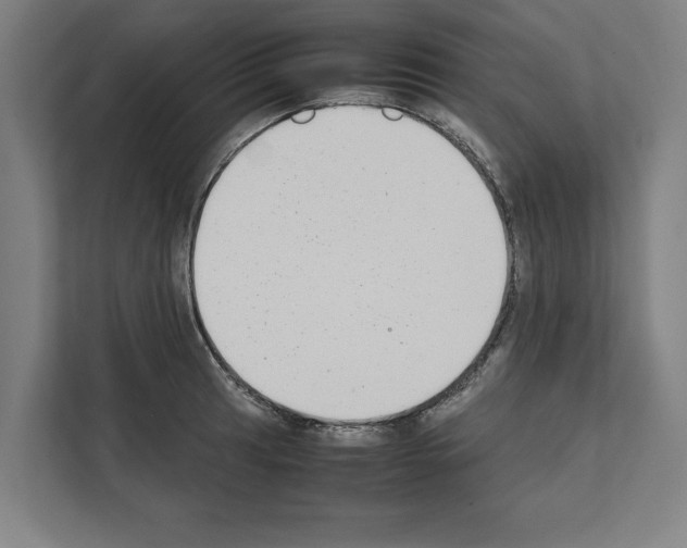 X0000111141041200908111110