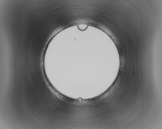 X0000111141042200908111110