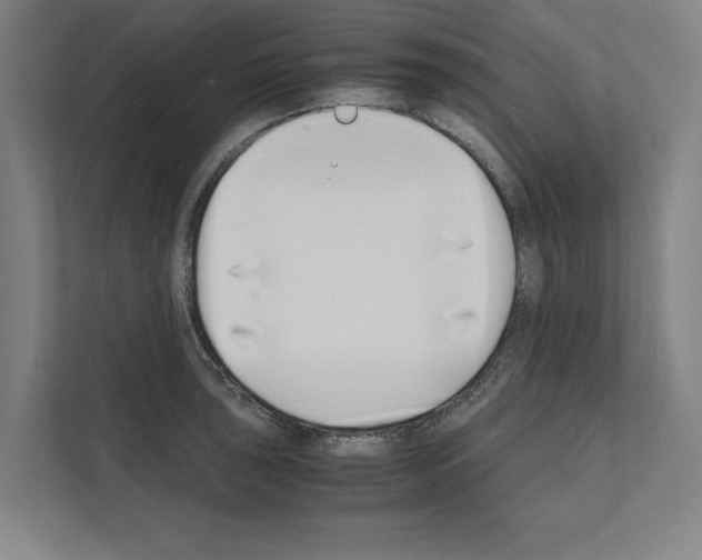 X0000111141043200908111110