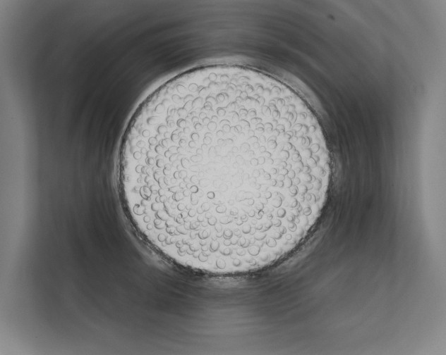 X0000111141044200908111110