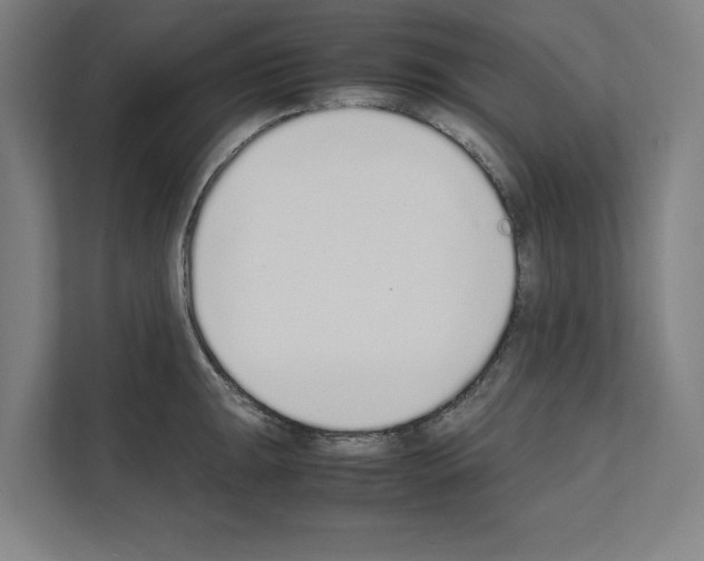 X0000111141047200908111110