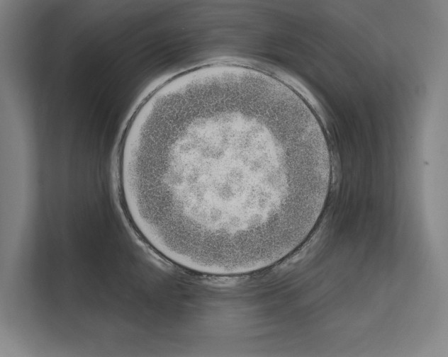 X0000111141048200908111110