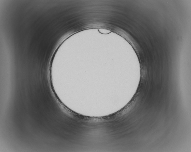 X0000111141050200908111110