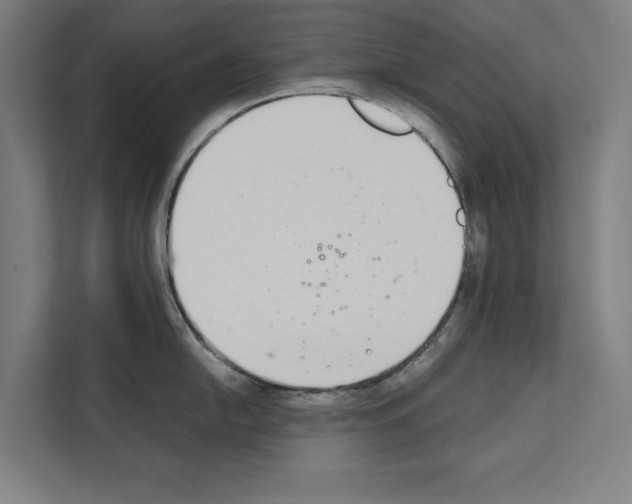 X0000111141054200908111110