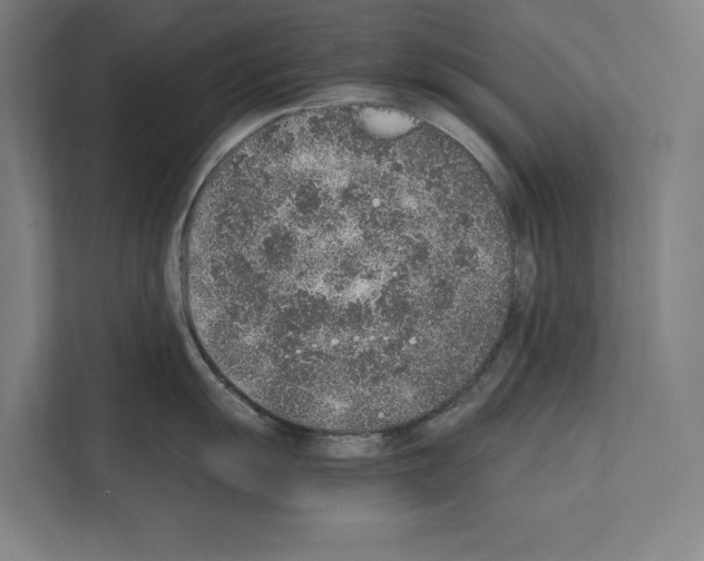 X0000111141055200908111110