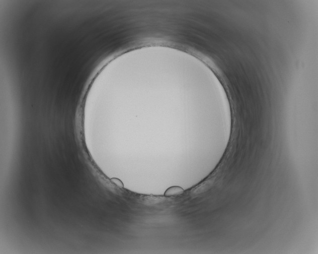 X0000111141056200908111110